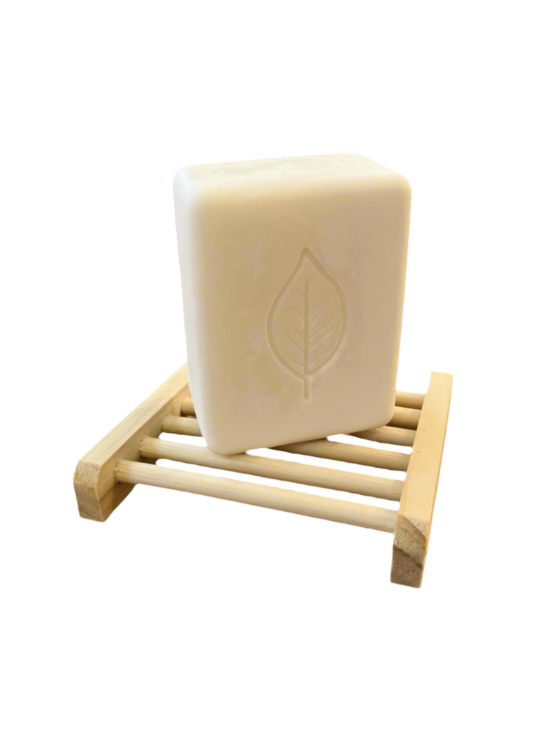 Zero Waste All-Natural Lemon & Grass Fed Tallow Dish Soap